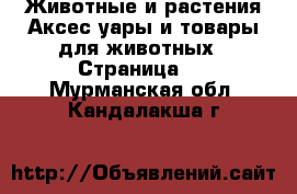 Животные и растения Аксесcуары и товары для животных - Страница 2 . Мурманская обл.,Кандалакша г.